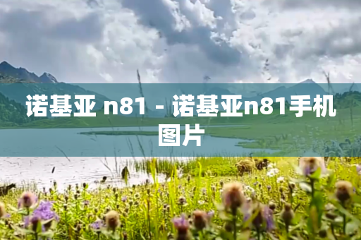诺基亚 n81 - 诺基亚n81手机图片