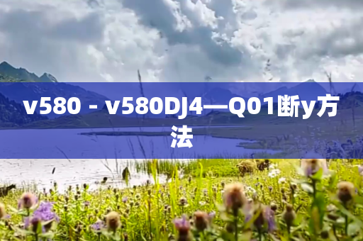 v580 - v580DJ4—Q01断y方法