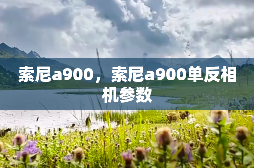 索尼a900，索尼a900单反相机参数