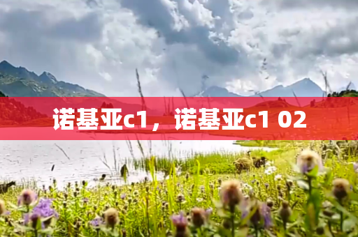 诺基亚c1，诺基亚c1 02