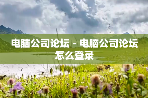 电脑公司论坛 - 电脑公司论坛怎么登录