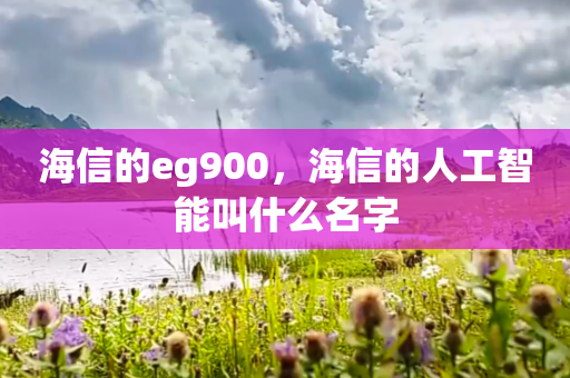 海信的eg900，海信的人工智能叫什么名字