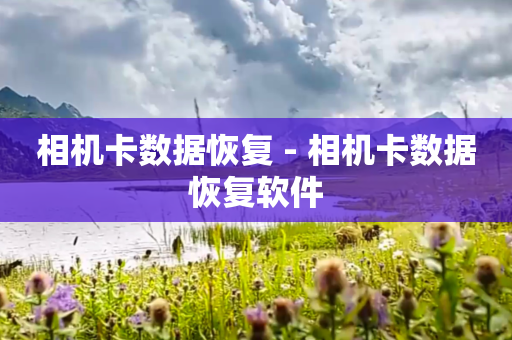 相机卡数据恢复 - 相机卡数据恢复软件