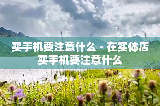 买手机要注意什么 - 在实体店买手机要注意什么