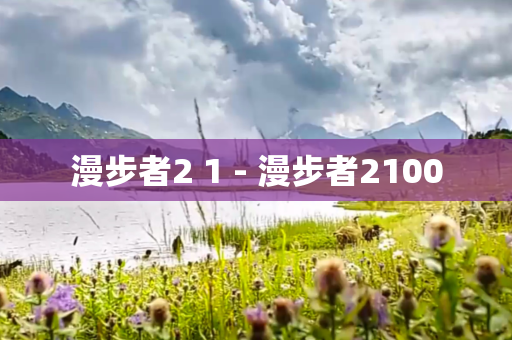漫步者2 1 - 漫步者2100
