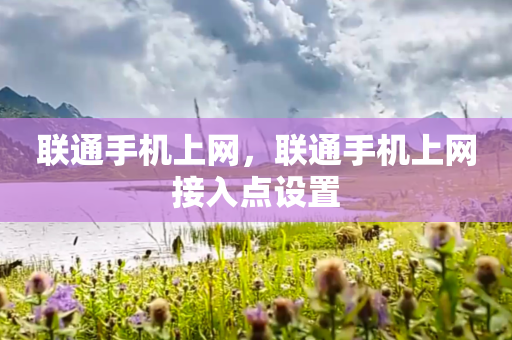 联通手机上网，联通手机上网接入点设置
