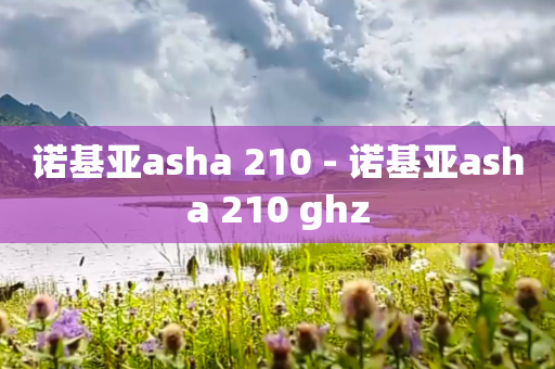 诺基亚asha 210 - 诺基亚asha 210 ghz