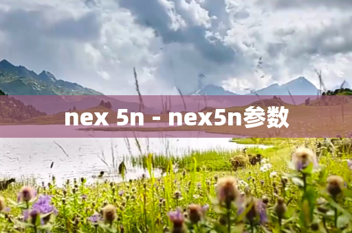 nex 5n - nex5n参数