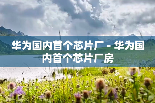 华为国内首个芯片厂 - 华为国内首个芯片厂房