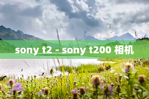 sony t2 - sony t200 相机