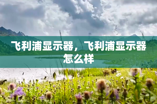 飞利浦显示器，飞利浦显示器怎么样