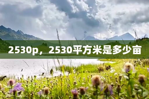 2530p，2530平方米是多少亩