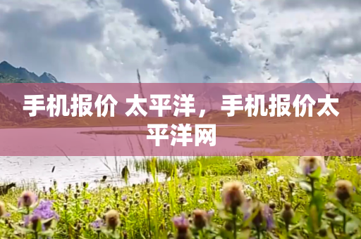 手机报价 太平洋,手机报价太平洋网
