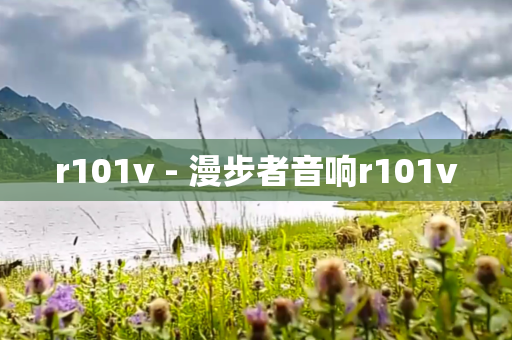 r101v - 漫步者音响r101v