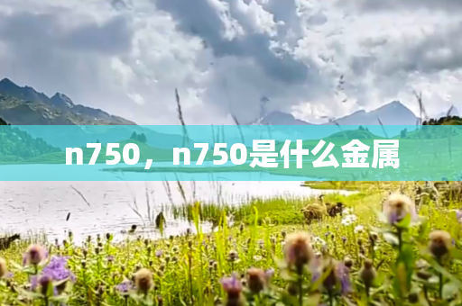 n750，n750是什么金属
