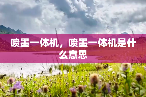 喷墨一体机，喷墨一体机是什么意思