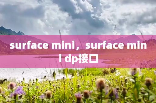 surface mini，surface mini dp接口