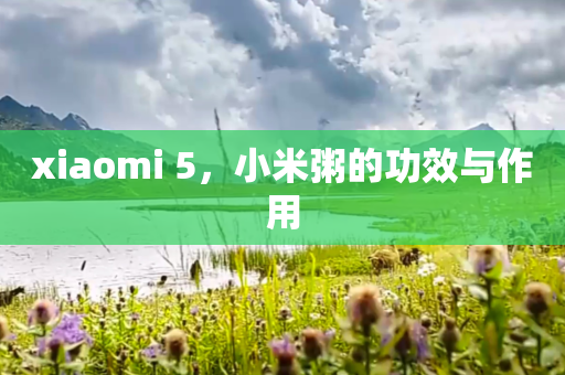 xiaomi 5，小米粥的功效与作用