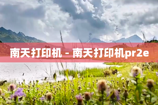 南天打印机 - 南天打印机pr2e