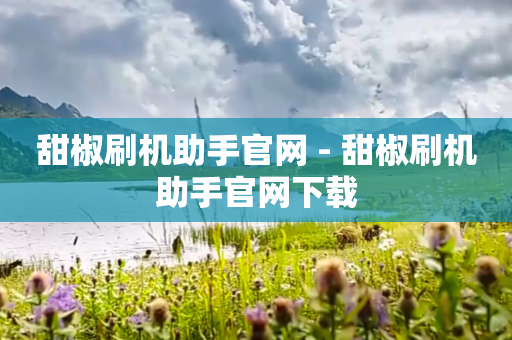 甜椒刷机助手官网 - 甜椒刷机助手官网下载