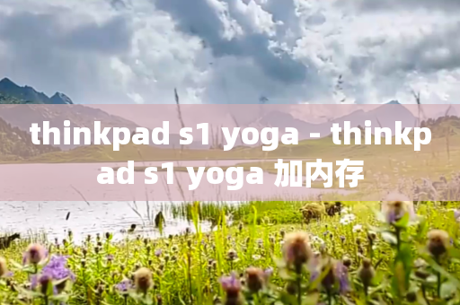 thinkpad s1 yoga - thinkpad s1 yoga 加内存