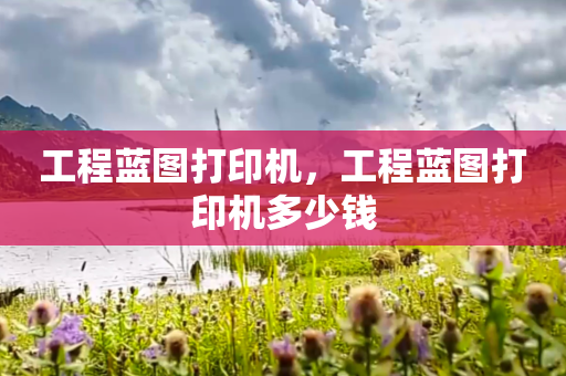 工程蓝图打印机，工程蓝图打印机多少钱