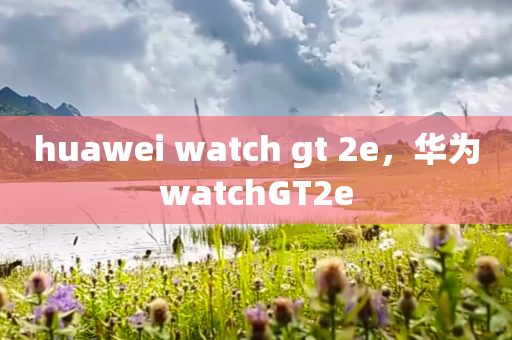 huawei watch gt 2e，华为watchGT2e