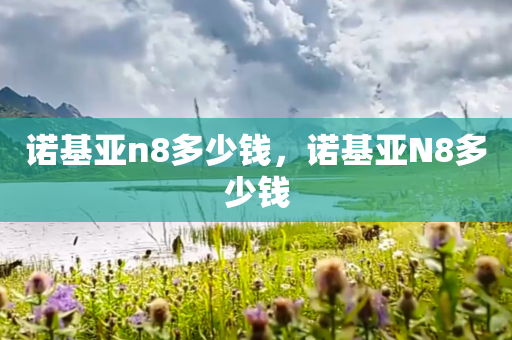 诺基亚n8多少钱，诺基亚N8多少钱