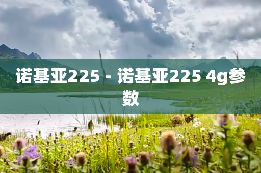 诺基亚225 - 诺基亚225 4g参数