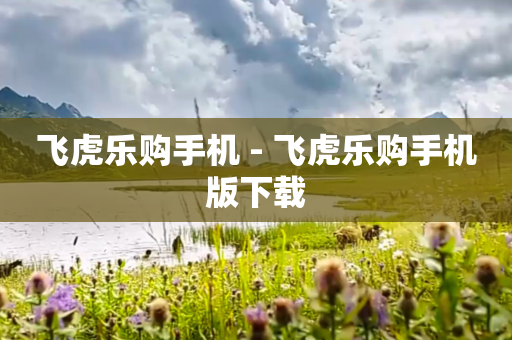 飞虎乐购手机 - 飞虎乐购手机版下载