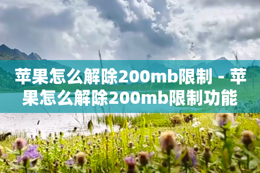 苹果怎么解除200mb限制 - 苹果怎么解除200mb限制功能