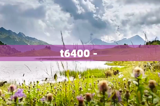 t6400 - 
