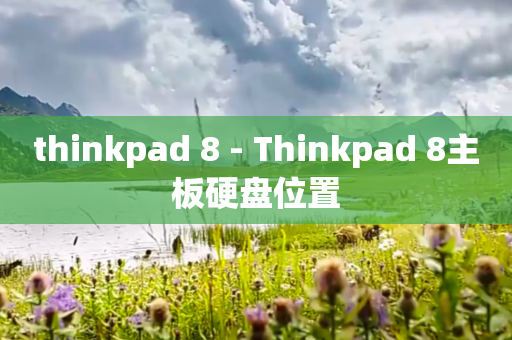 thinkpad 8 - Thinkpad 8主板硬盘位置