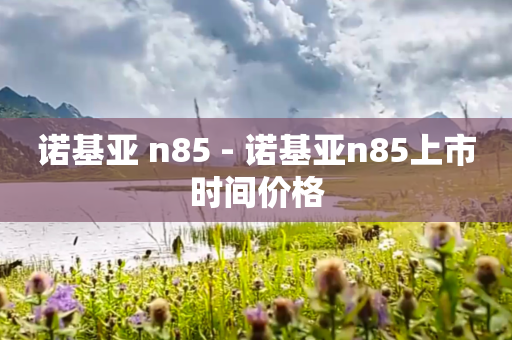 诺基亚 n85 - 诺基亚n85上市时间价格