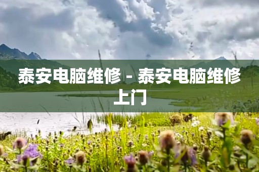 泰安电脑维修 - 泰安电脑维修上门