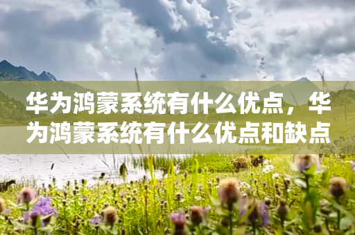 华为鸿蒙系统有什么优点，华为鸿蒙系统有什么优点和缺点