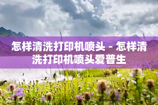 怎样清洗打印机喷头 - 怎样清洗打印机喷头爱普生