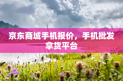 京东商城手机报价，手机批发拿货平台