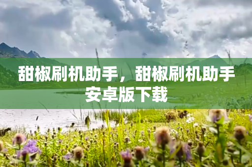 甜椒刷机助手，甜椒刷机助手安卓版下载