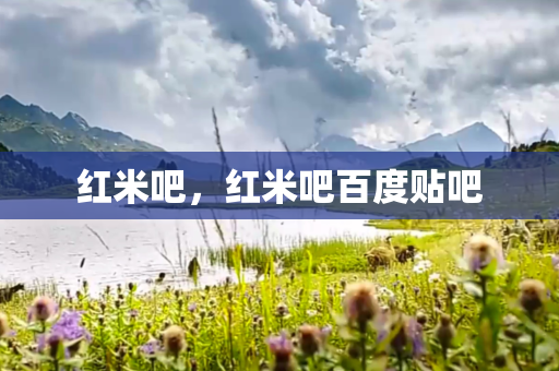 红米吧，红米吧百度贴吧
