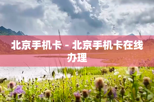 北京手机卡 - 北京手机卡在线办理