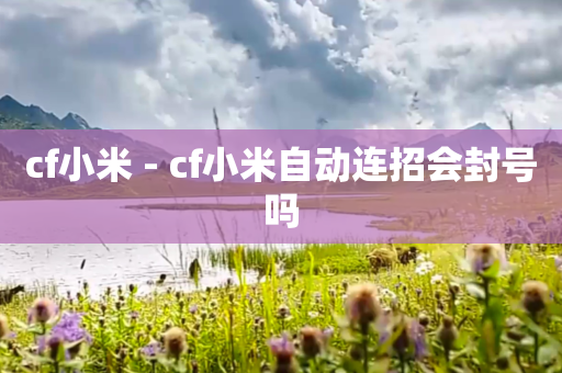 cf小米 - cf小米自动连招会封号吗