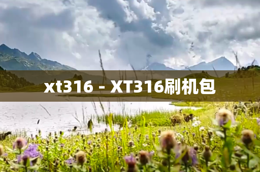 xt316 - XT316刷机包