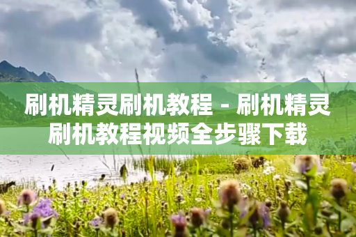 刷机精灵刷机教程 - 刷机精灵刷机教程视频全步骤下载