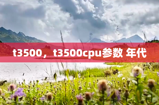 t3500，t3500cpu参数 年代