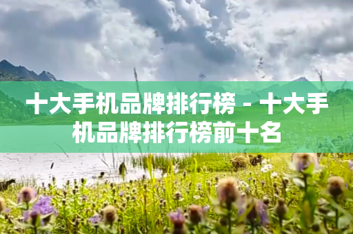 十大手机品牌排行榜 - 十大手机品牌排行榜前十名