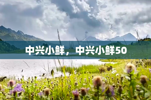 中兴小鲜，中兴小鲜50
