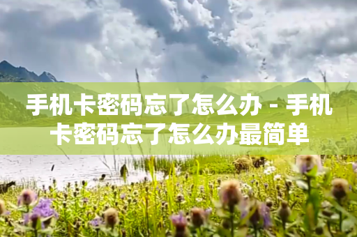 手机卡密码忘了怎么办 - 手机卡密码忘了怎么办最简单
