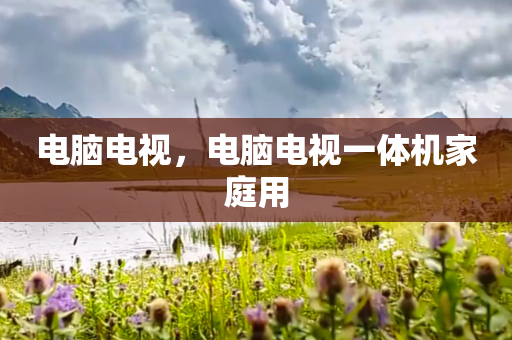 电脑电视，电脑电视一体机家庭用