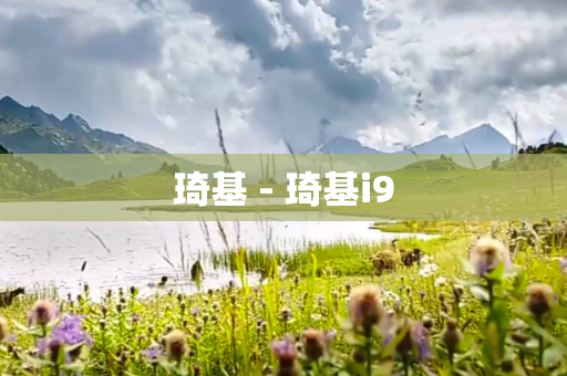 琦基 - 琦基i9